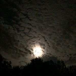 Meet your Posher, Logan